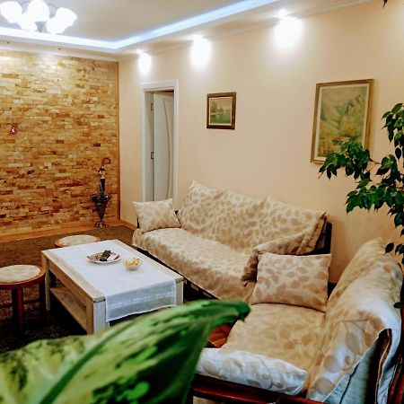 Apartment Durvenitza 索菲亞 外观 照片