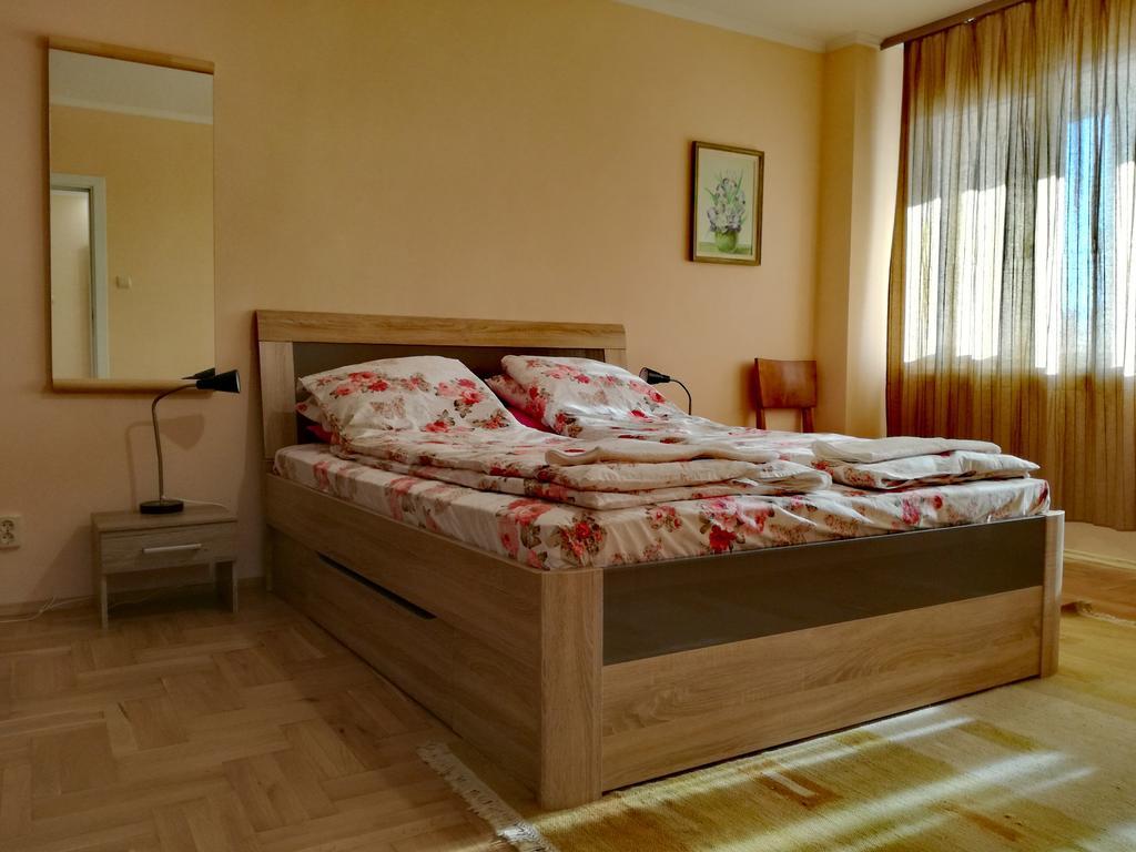 Apartment Durvenitza 索菲亞 外观 照片